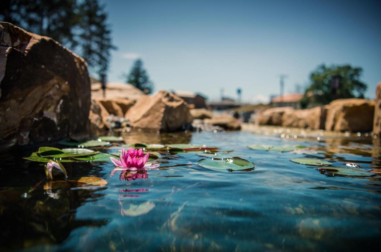 Natura Treescape Resort 위스콘신 델즈 외부 사진